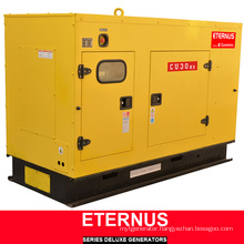 Multi-Purpose Generator Diesel ISO9001 Ce (BU30KS)